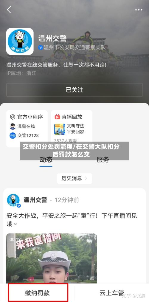 交警扣分处罚流程/在交警大队扣分后罚款怎么交-第3张图片