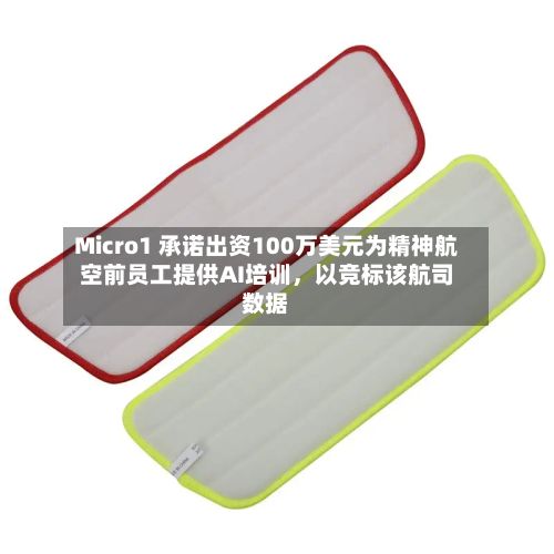 Micro1 承诺出资100万美元为精神航空前员工提供AI培训，以竞标该航司数据-第2张图片