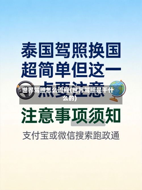 世界驾照怎么流程(世界驾照是干什么的)