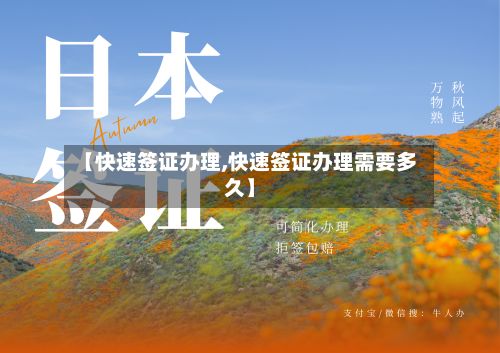 【快速签证办理,快速签证办理需要多久】