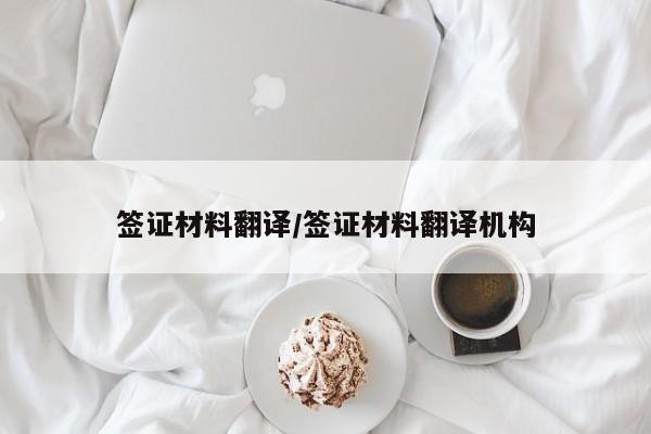 签证材料翻译/签证材料翻译机构