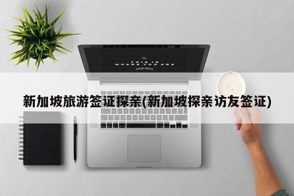 新加坡旅游签证探亲(新加坡探亲访友签证)