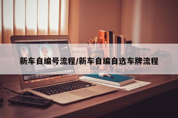 新车自编号流程/新车自编自选车牌流程