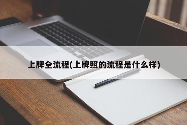 上牌全流程(上牌照的流程是什么样)