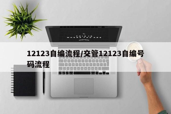 12123自编流程/交管12123自编号码流程