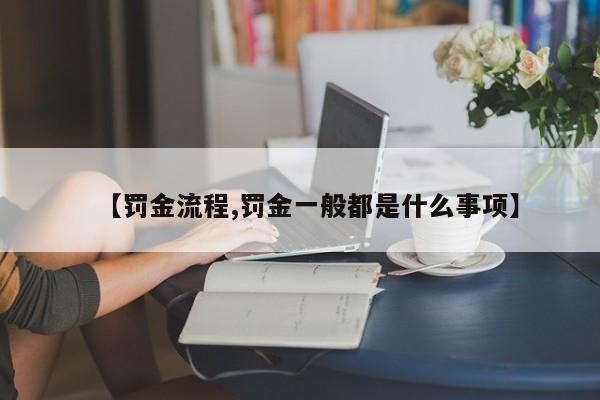 【罚金流程,罚金一般都是什么事项】