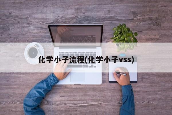 化学小子流程(化学小子vss)