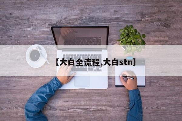 【大白全流程,大白stn】