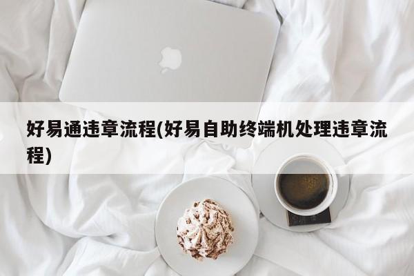 好易通违章流程(好易自助终端机处理违章流程)