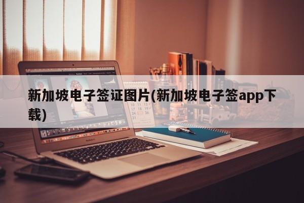 新加坡电子签证图片(新加坡电子签app下载)