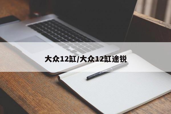 大众12缸/大众12缸途锐