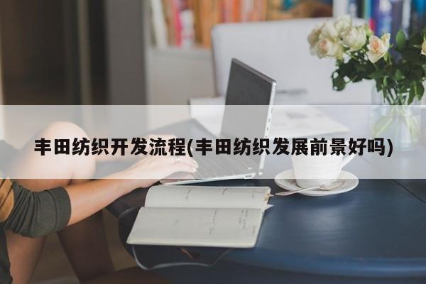 丰田纺织开发流程(丰田纺织发展前景好吗)