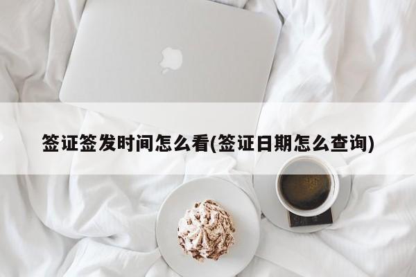 签证签发时间怎么看(签证日期怎么查询)