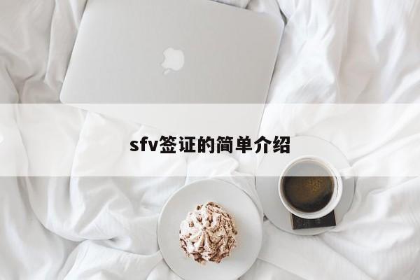 sfv签证的简单介绍