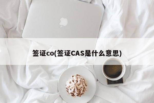 签证co(签证CAS是什么意思)
