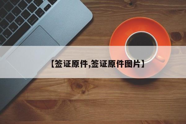 【签证原件,签证原件图片】