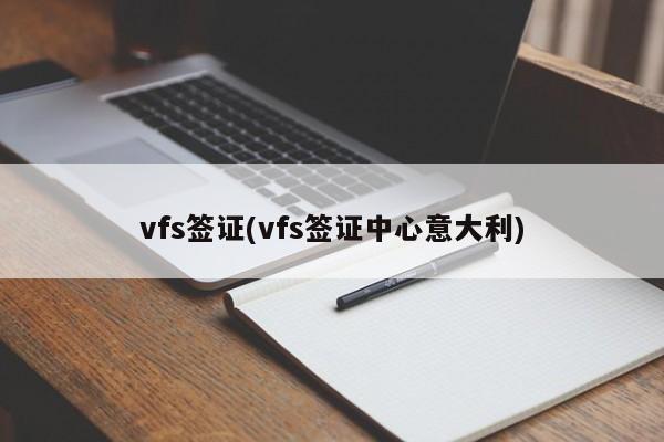 vfs签证(vfs签证中心意大利)