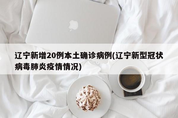 辽宁新增20例本土确诊病例(辽宁新型冠状病毒肺炎疫情情况)