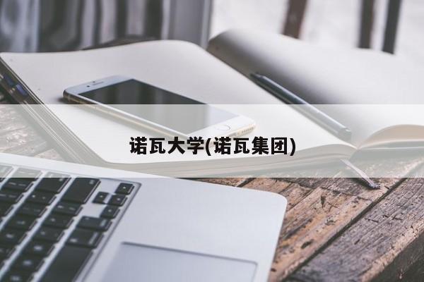 诺瓦大学(诺瓦集团)