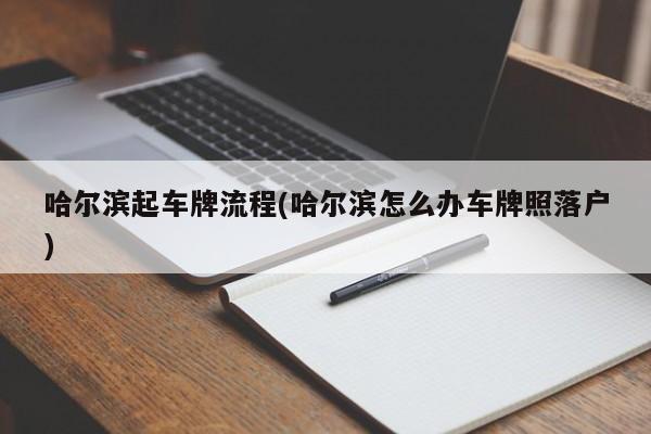 哈尔滨起车牌流程(哈尔滨怎么办车牌照落户)
