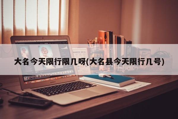 大名今天限行限几呀(大名县今天限行几号)