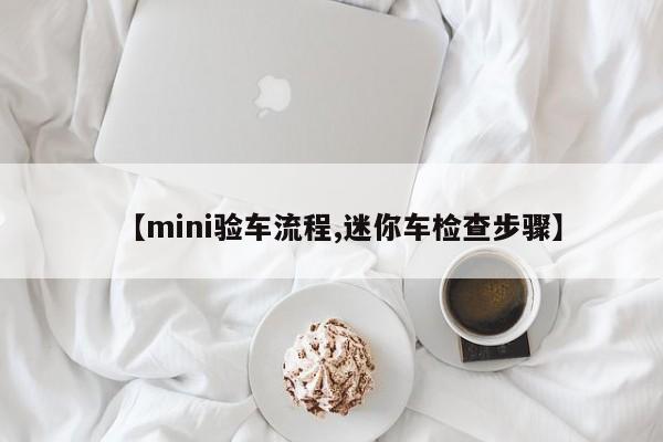 【mini验车流程,迷你车检查步骤】