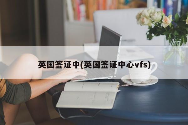 英国签证中(英国签证中心vfs)