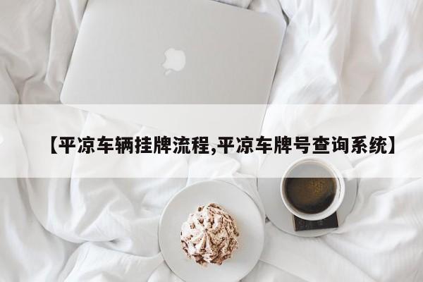 【平凉车辆挂牌流程,平凉车牌号查询系统】